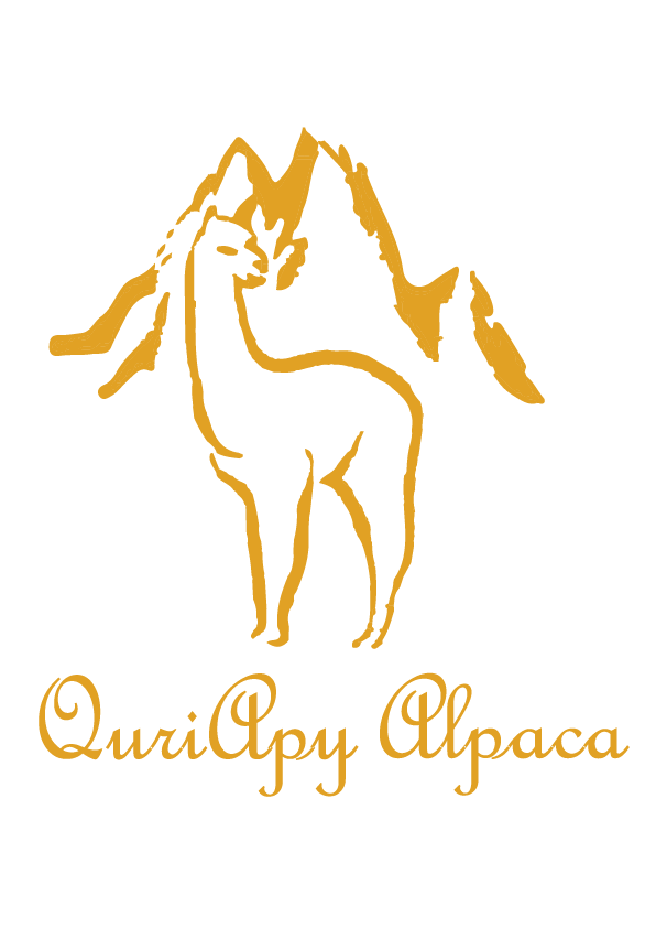 QuriApy Alpaca 