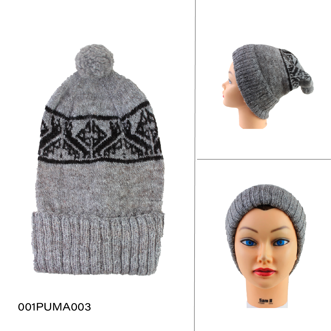 Beanies Puma