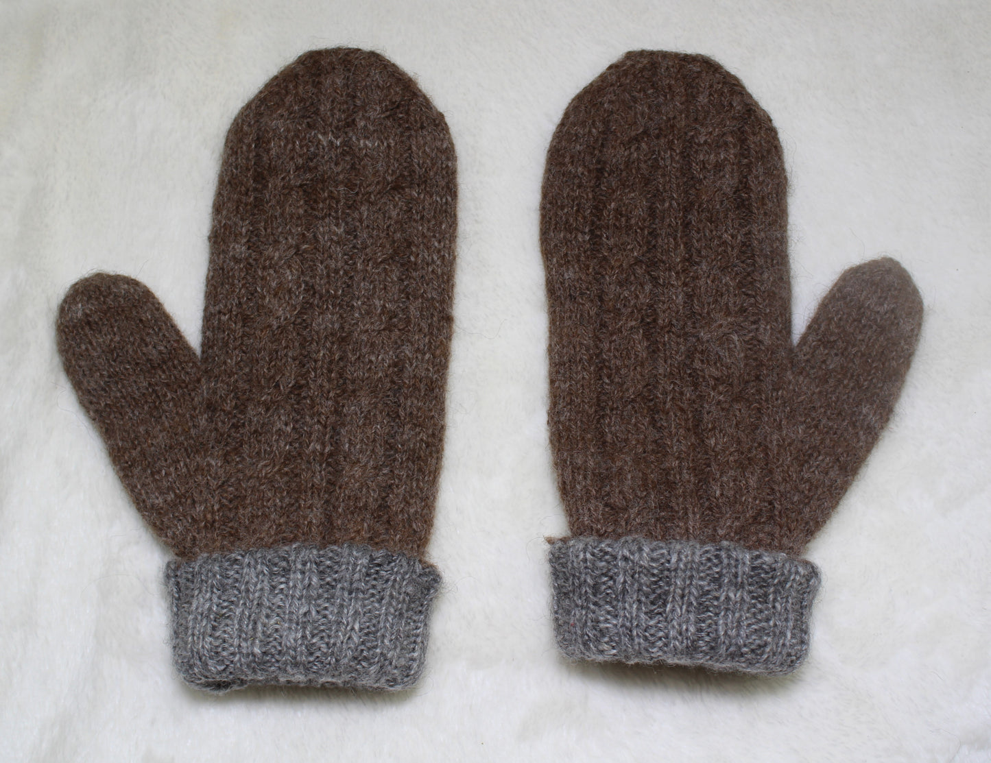 Mittens Double Sided